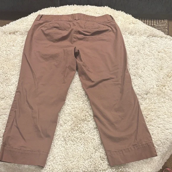 LOFT Mauve-Taupe Cropped Chinos - Picture 4 of 8